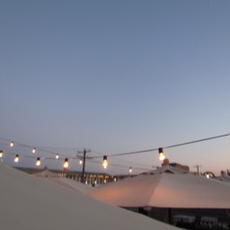 Drink A Beer, It’s Good for You