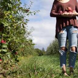 All the Fall Things to Do In and Around Harrisburg